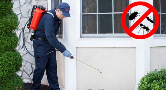 Çakmaklı Karınca İlaçlama böcek ilaçlama ve haşere kontrolü — ilaclama-tr.com